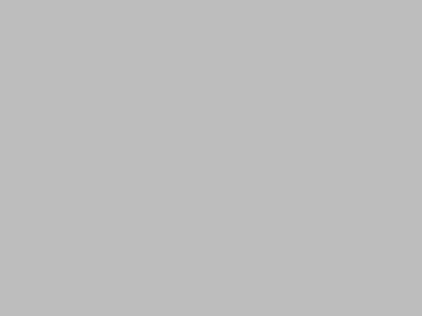 gri RAL9006