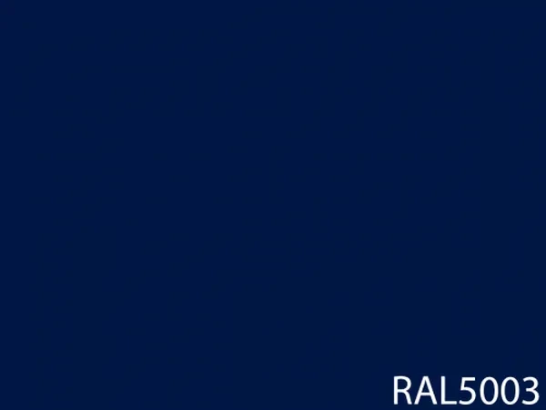 RAL 5003
