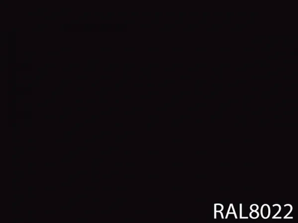RAL 8022