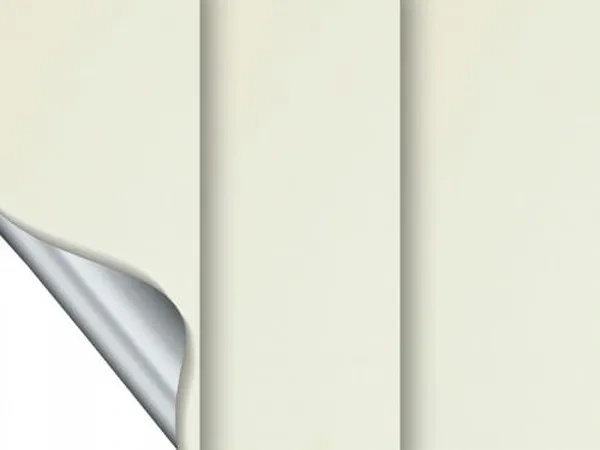 Madagaskar 056 (thermo) - slonová kosť