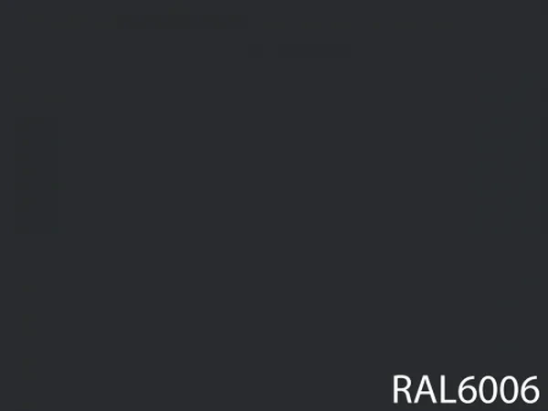 RAL 6006