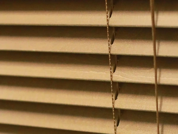 Bambusové žalúzie 50mm 7