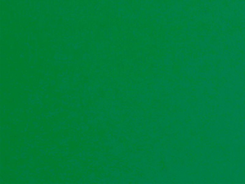 Carina 10111 - verde intens