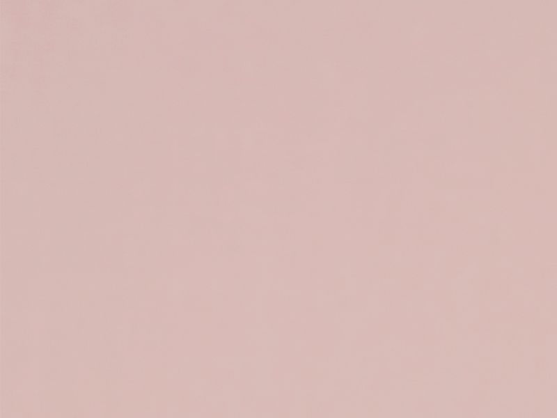 Carina 4980 - roz pal